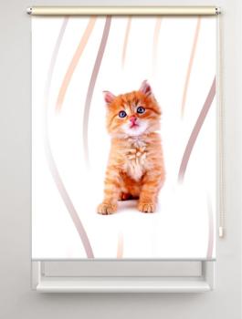Rollo Lion vertic Katzenbaby, Rollo, Motivrollo, Rollo mit Druck, Fotorollo, bedrucktes Rollo, Fensterrollo,verdunkelndes Rollo, Sonnenschutz Rollo
